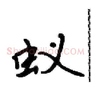 蚁