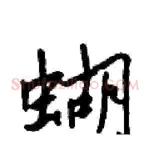蝴