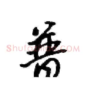 普