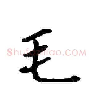 毛