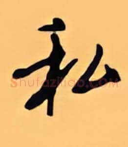 私