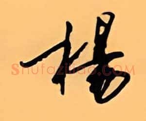 杨