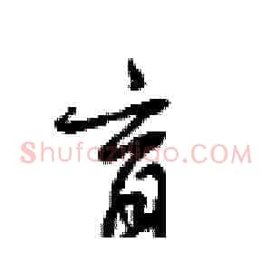 育