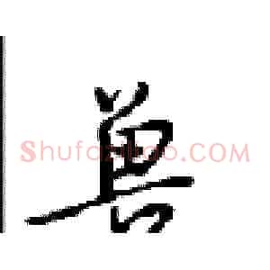 兽