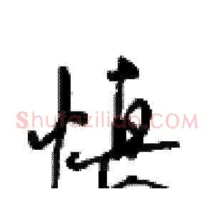 慎