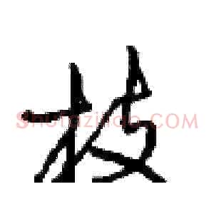 枝