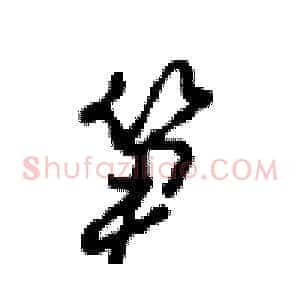 笋