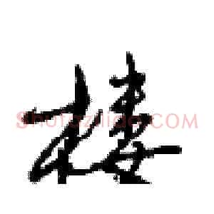 楼