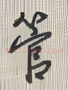 管