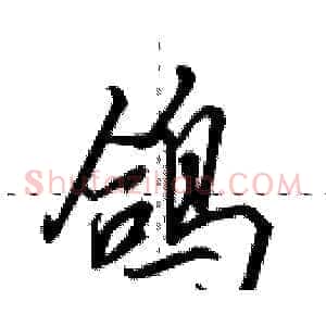 鸽