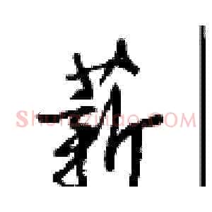 薪