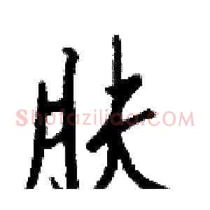肤