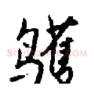 鹱