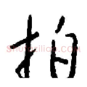 拍