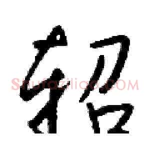 轺