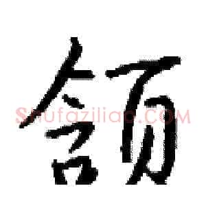 颔