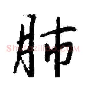肺