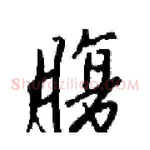 腹
