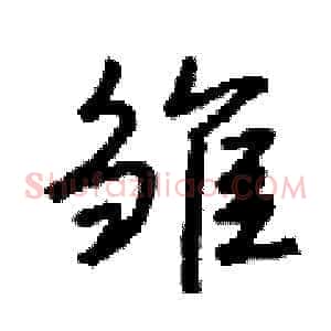 雏
