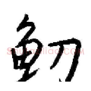 鱽