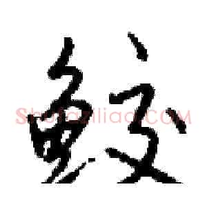 鲛
