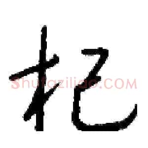 杞