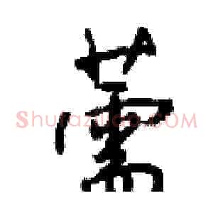 薷