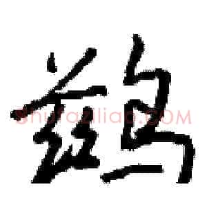 鹚
