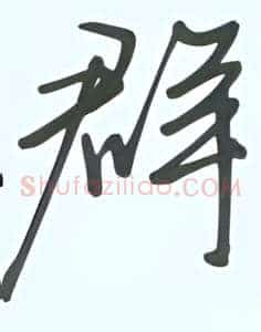 群