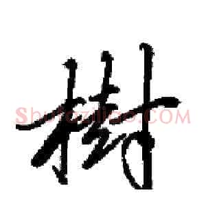 樹