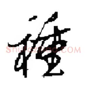 種