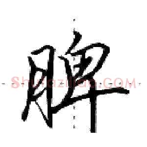 脾
