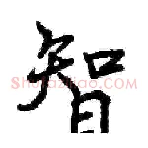 智