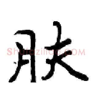 肤