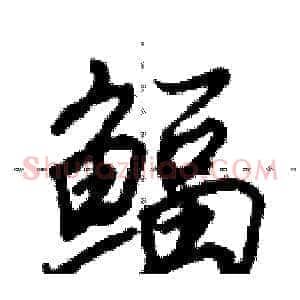 鲾