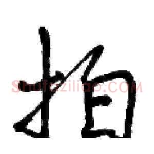 拍