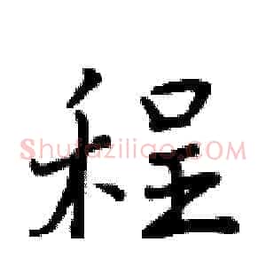 程