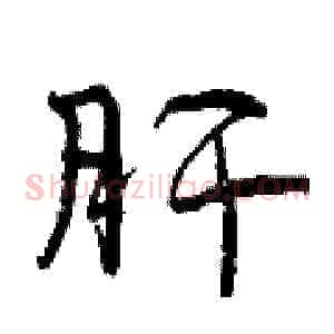 肝