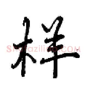 样