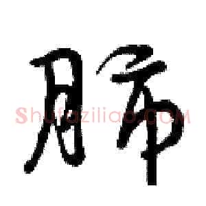 肺