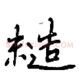 糙