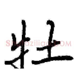 牡