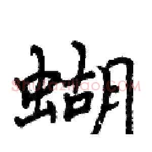 蝴