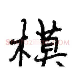 模