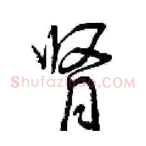 肾