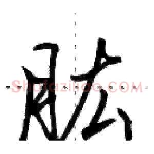肱