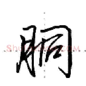 胴