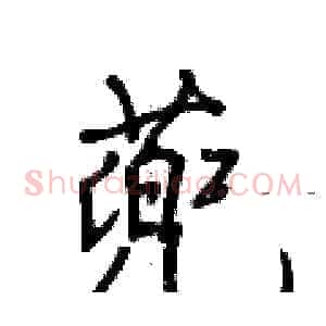 蔸