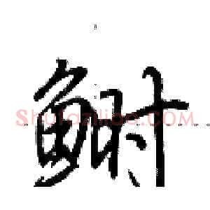 鲥