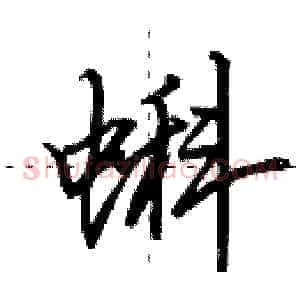 蝌
